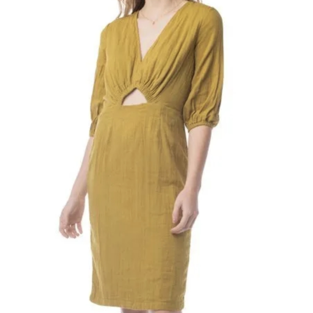 Synergy Organic Clothing NWT Raquel Dress